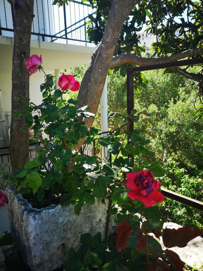 Apartman Sissy Primošten Buitenkant foto