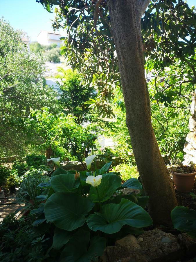 Apartman Sissy Primošten Buitenkant foto